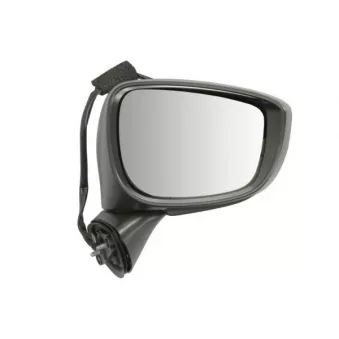 Rétroviseur extérieur BLIC 5402-14-1905313P