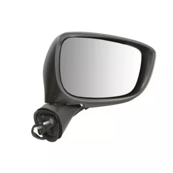 Rétroviseur extérieur BLIC 5402-14-1905317P pour MAZDA CX-5 SKYACTIV-G - 165cv