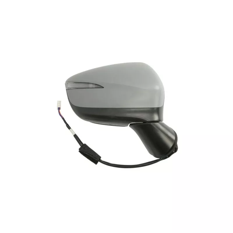 Rétroviseur extérieur BLIC 5402-14-1905317P - Visuel 1