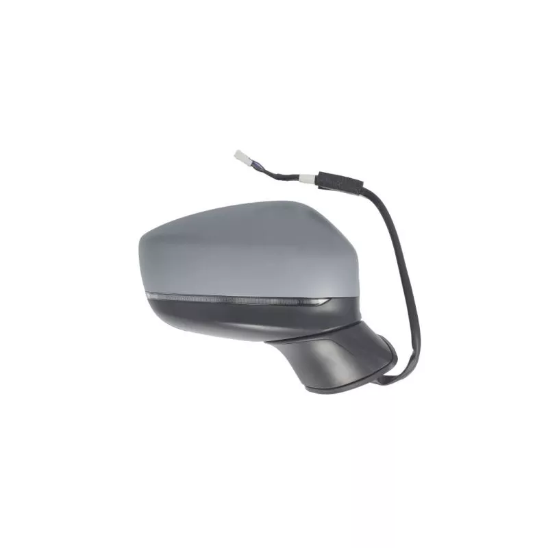 Rétroviseur extérieur BLIC 5402-14-1906313P - Visuel 1