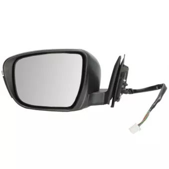 Rétroviseur extérieur BLIC 5402-16-1036316P