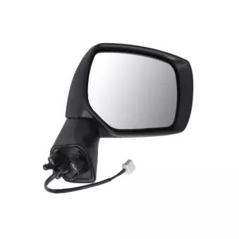 Rétroviseur extérieur BLIC 5402-17-1332311P