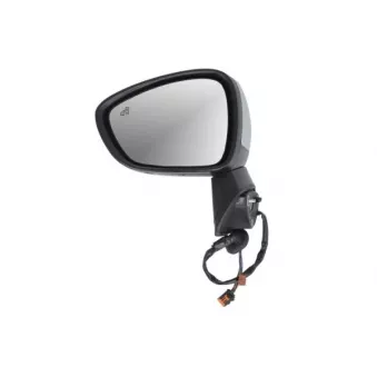 Rétroviseur extérieur BLIC 5402-21-2137310P