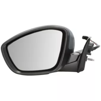 Rétroviseur extérieur BLIC 5402-21-2142312P pour CITROEN C4 CACTUS 1.5 BlueHDi 120 - 120cv