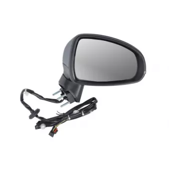 Rétroviseur extérieur BLIC OEM 8X1857410F9B9