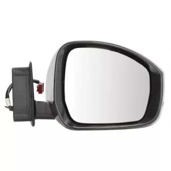 Rétroviseur extérieur BLIC OEM LR051260