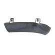 BLIC 5403-053-10-851SD - Feu clignotant avant gauche