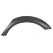 BLIC 5703-04-0029571P - Baguette et bande protectrice, aile avant gauche