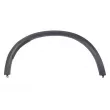 BLIC 5703-04-0098596P - Baguette et bande protectrice, aile avant droit