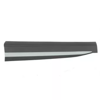 Baguette et bande protectrice, porte avant gauche BLIC 5703-04-7802571P