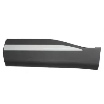 Baguette et bande protectrice, porte avant gauche BLIC 5703-04-7802577P pour MG MG HS EHS 1,5T GDI Hybrid - 284cv