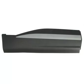 Baguette et bande protectrice, porte avant droit BLIC 5703-04-7802578P pour MG MG HS EHS 1,5T GDI Hybrid - 284cv