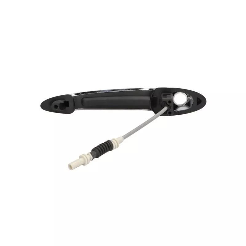 Poignée extérieure de porte avant gauche BLIC 6010-05-0884401P - Visuel 1