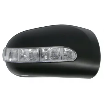 Boitier, rétroviseur extérieur BLIC 6103-01-1322801P