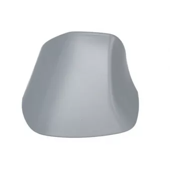 Revêtement, rétroviseur extérieur BLIC 6103-04-1103312P