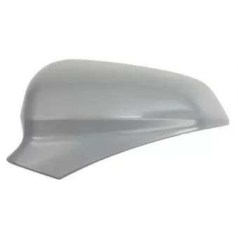 Revêtement, rétroviseur extérieur BLIC 6103-10-2358310P pour SEAT LEON 1.0 TSI Mild Hybrid - 110cv