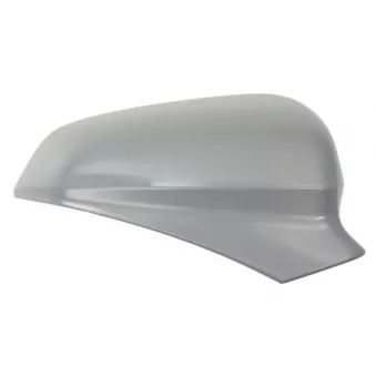 Revêtement, rétroviseur extérieur BLIC 6103-10-2358311P