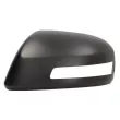 Revêtement, rétroviseur extérieur BLIC [6103-12-0461310P]