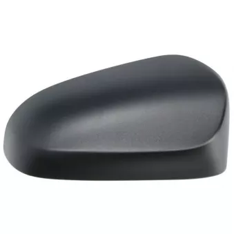 Revêtement, rétroviseur extérieur BLIC 6103-21-0190311P