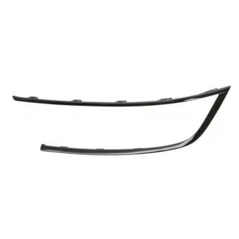 Cadre, projecteur principal avant gauche BLIC 6502-07-5055983P