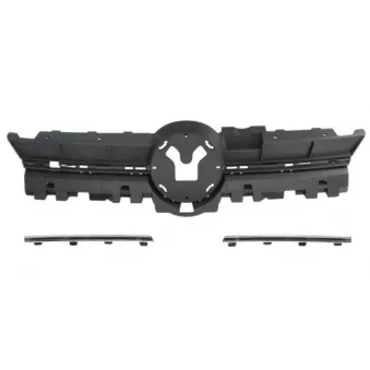 Grille de radiateur BLIC 6502-07-9516991P