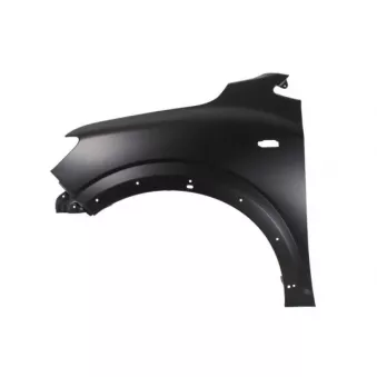 Aile avant gauche BLIC 6504-04-1307311P