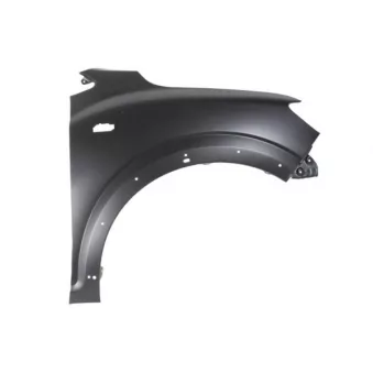 Aile avant droit BLIC 6504-04-1307312P