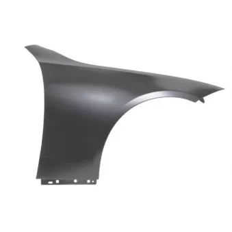 Aile avant droit BLIC 6504-04-3522312P