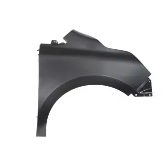 Aile avant droit BLIC 6504-04-6015312P