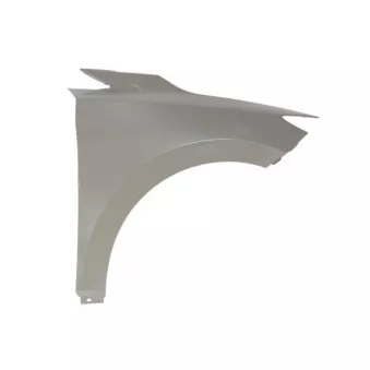 Aile avant droit BLIC 6504-04-7800312P