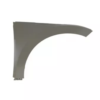 Aile avant droit BLIC 6504-04-9566312P