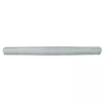 Plaque de seuil BLIC 6505-06-1677010P