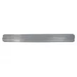 BLIC 6505-06-3506011P - Plaque de seuil