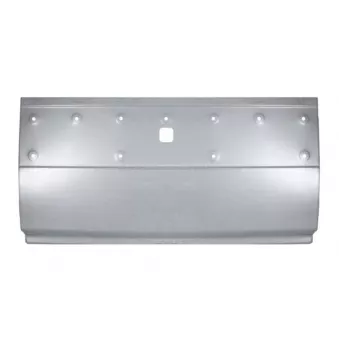 Panneau latéral BLIC 6505-06-6089025P