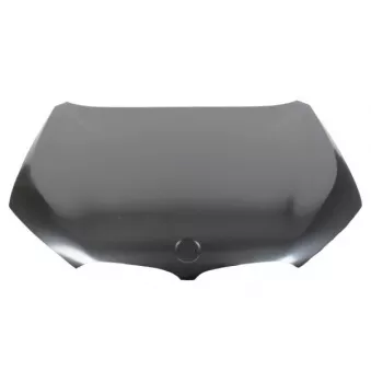 Capot-moteur BLIC 6803-00-0082280P