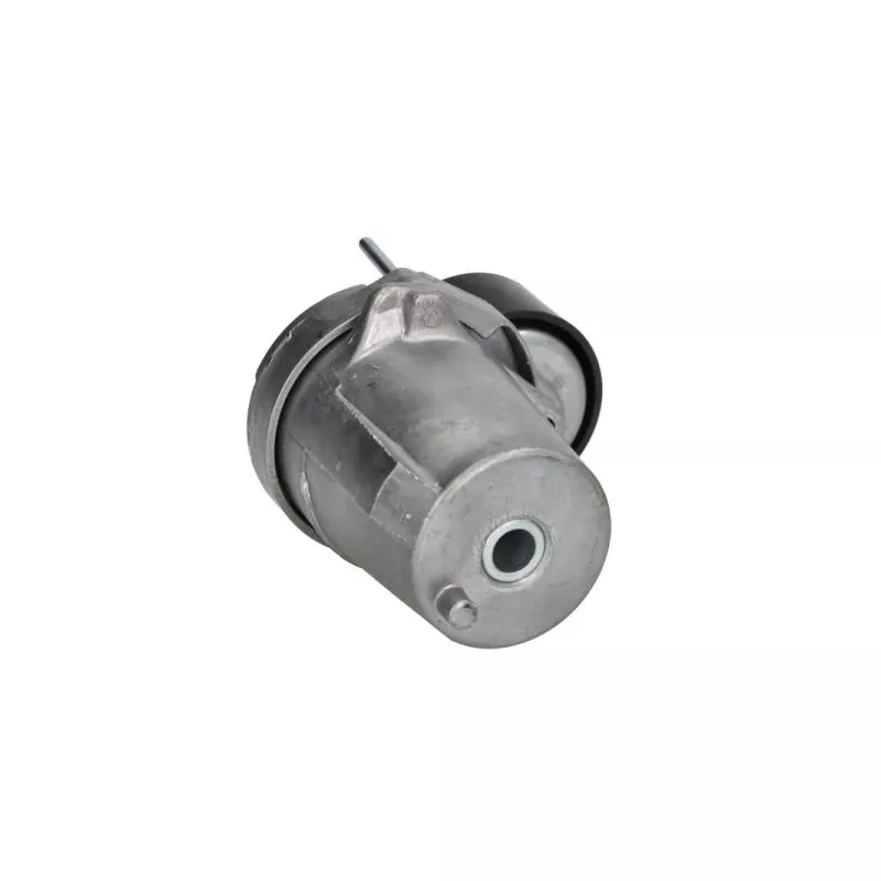 Tendeur de courroie, courroie trapézoïdale à nervures BTA E3B0006BTA - Visuel 1