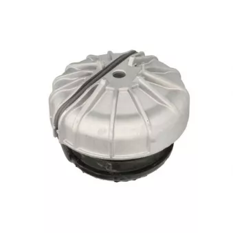 Support moteur REINHOCH RH11-3162