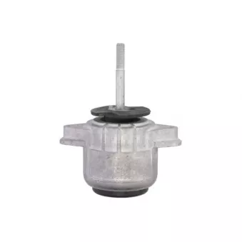 Support moteur REINHOCH RH11-3163 pour PORSCHE PANAMERA 3.6 4 - 310cv