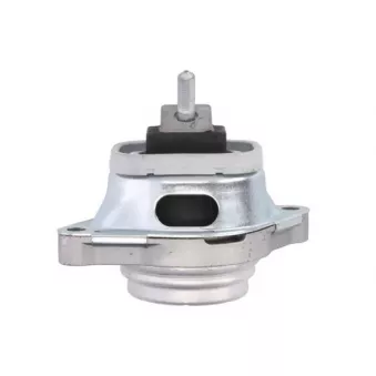 Support moteur REINHOCH RH11-5097