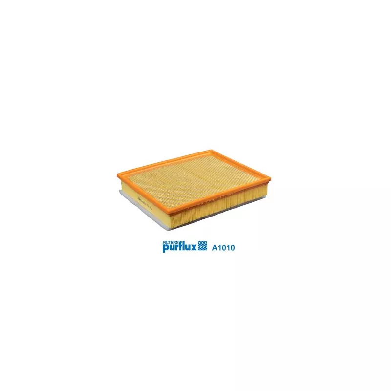 Filtre à air PURFLUX A1010 - Visuel 1