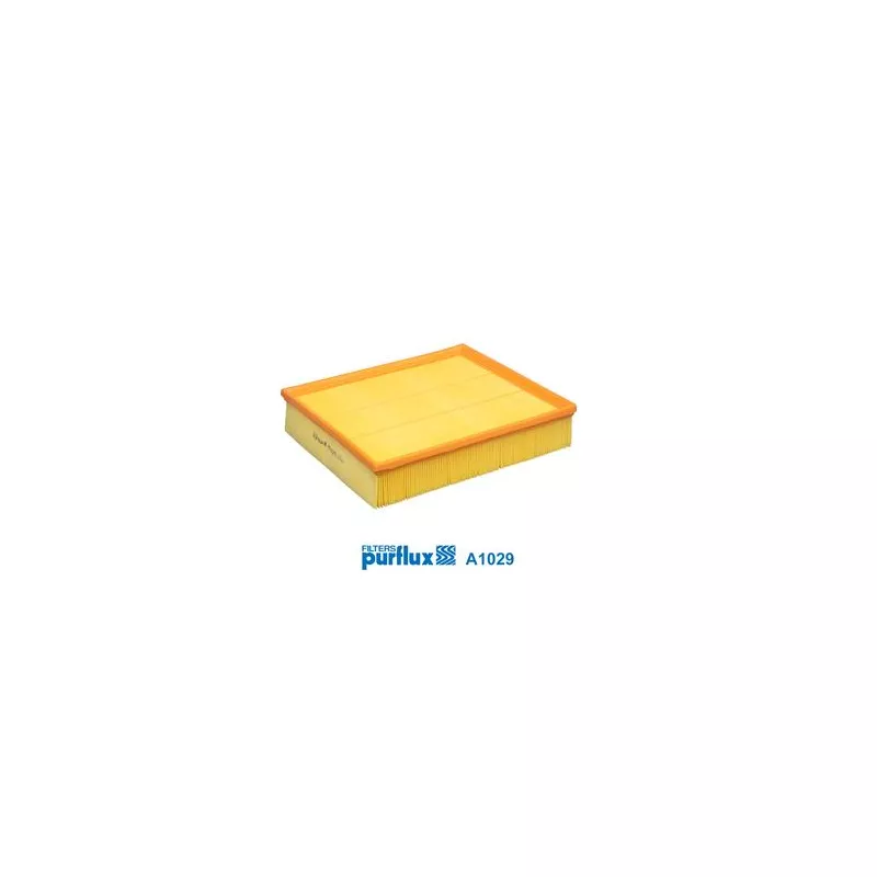 Filtre à air PURFLUX A1029 - Visuel 1