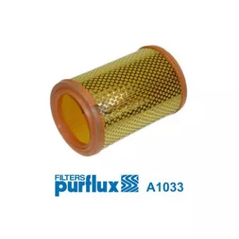 Filtre à air PURFLUX [A1033]
