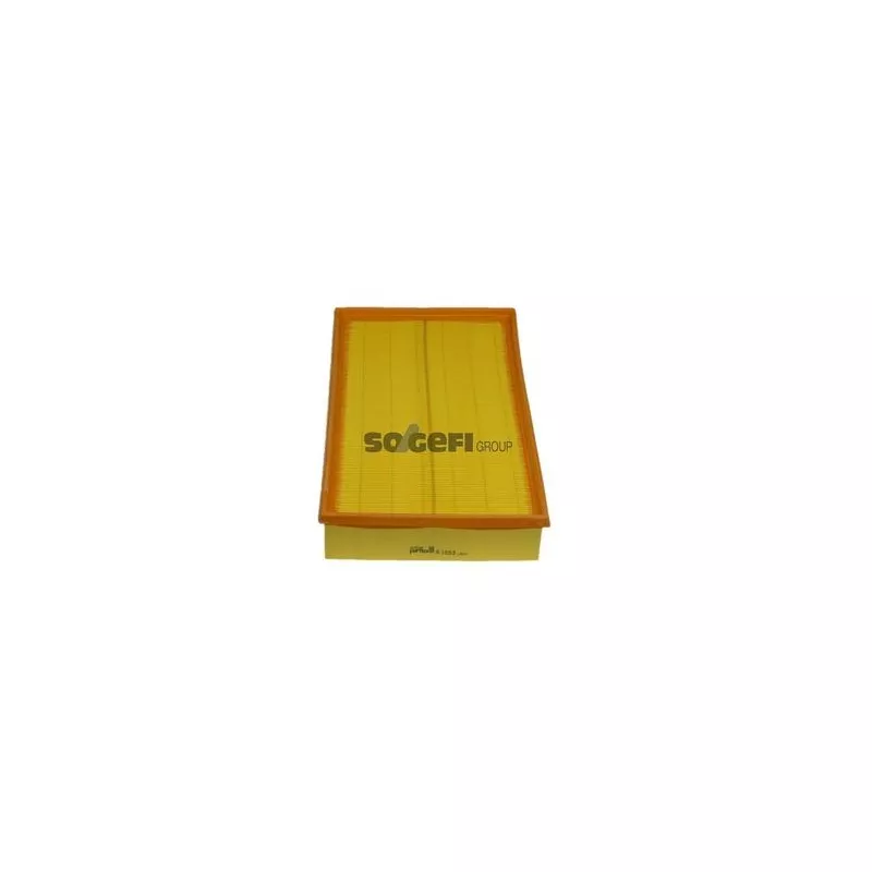 Filtre à air PURFLUX A1053 - Visuel 1