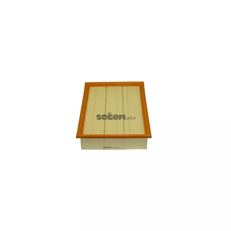 Filtre à air PURFLUX A1075 - Visuel 1