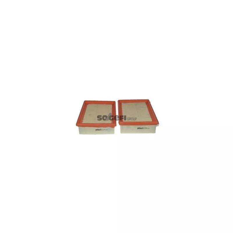 Filtre à air PURFLUX A1114-2 - Visuel 1