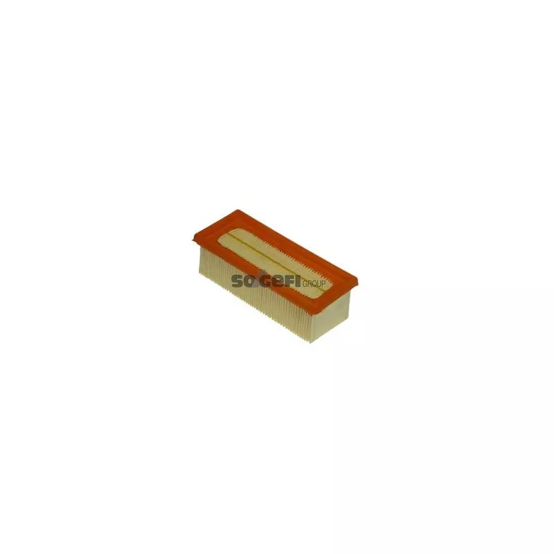 Filtre à air PURFLUX A1123 - Visuel 1