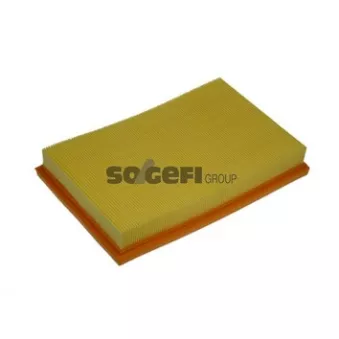 Filtre à air PURFLUX OEM 036129620D