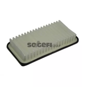 Filtre à air PURFLUX OEM PC3195E