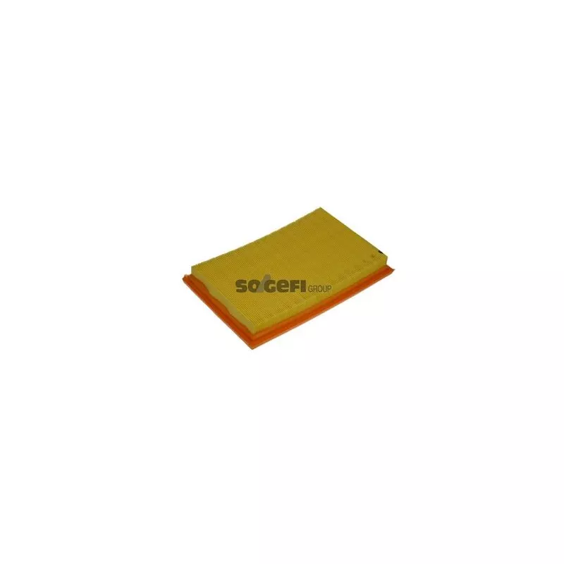 Filtre à air PURFLUX A1156 - Visuel 1