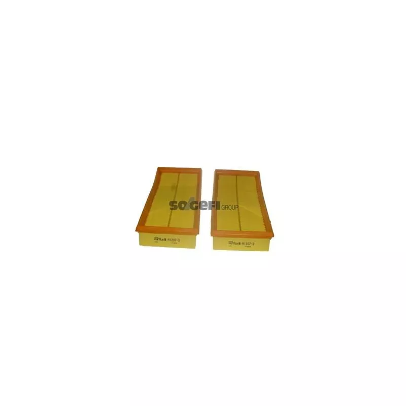 Filtre à air PURFLUX A1207-2 - Visuel 1